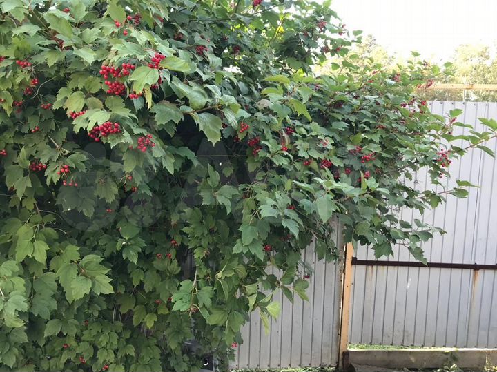 Дом 28,4 м² на участке 10 сот.