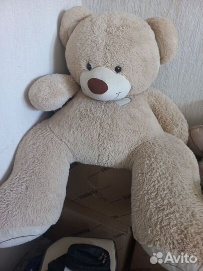 Плюшевый медведь