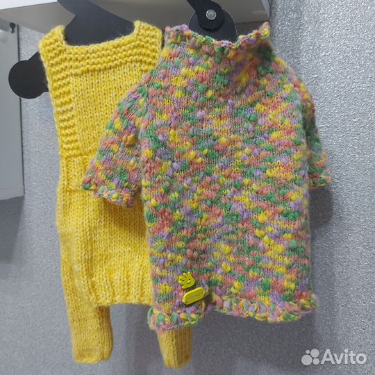 Вещи для собак