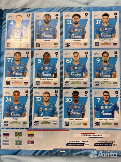 Альбом panini рпл 2024 25