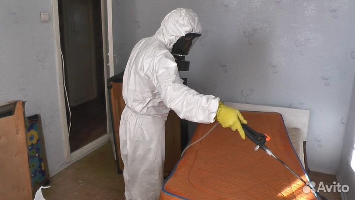 Уничтожение клопов, травить тараканов. Дезинфекция