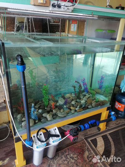 Аквариум