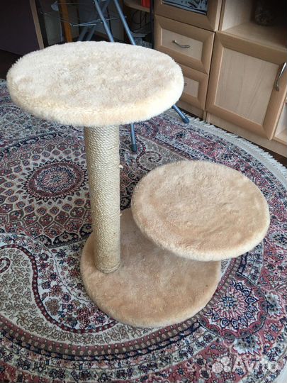 Когтеточка