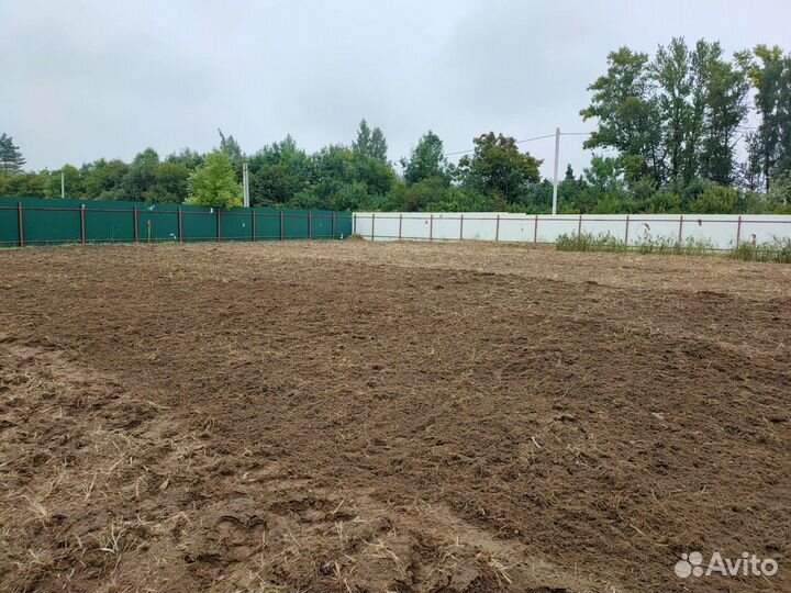 Расчистка участка, спил деревьев, вывоз мусора