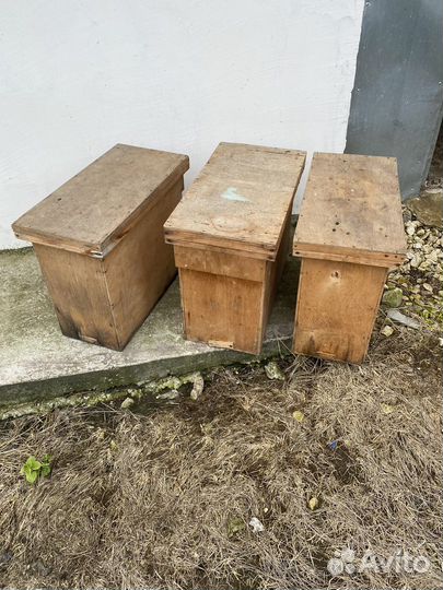 Ящики для пчелопакетов