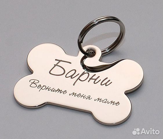 Адресник, жетон для животных