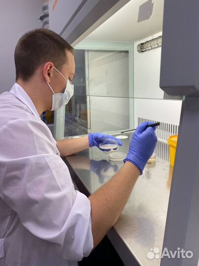 Репетитор по химии и биологии онлайн