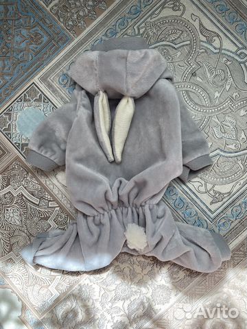 Одежда для собак мелких пород