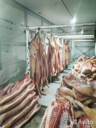 Мясо свинины охлажденное оптом