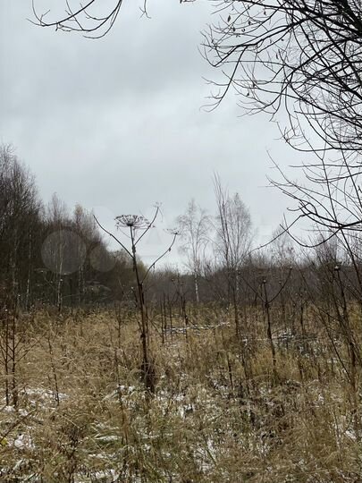 Участок 15 сот. (ИЖС)