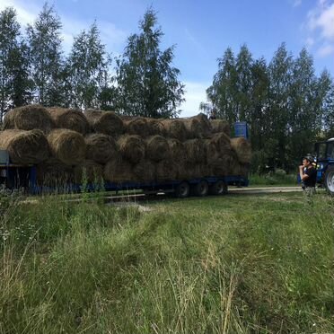 Качественное сено в рулонах