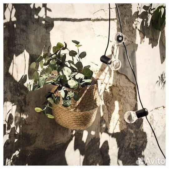 Искусственные растения икеа смикка эвкалипт