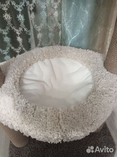 Кошачий комплекс, когтеточка