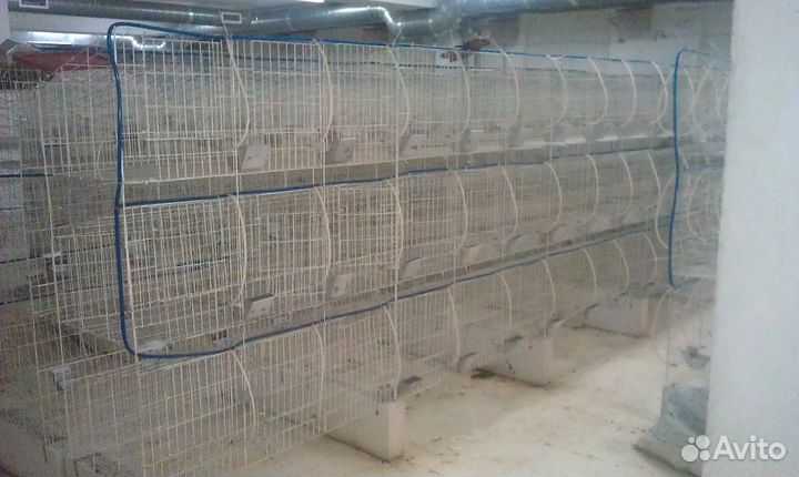 Клетки для кроликов и прочих. Цена за 9 секций