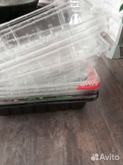 Для рассады