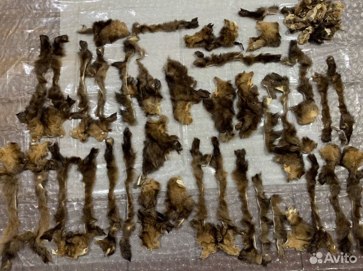 Обрезь (обрезки, остатки, лоскуты, шкурки) соболя