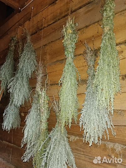 Веники для бани