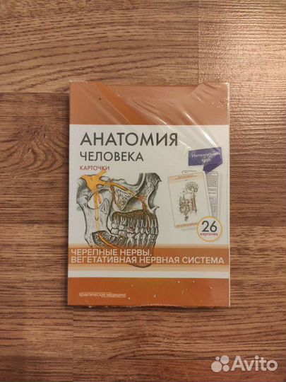 Карточки для изучения анатомии