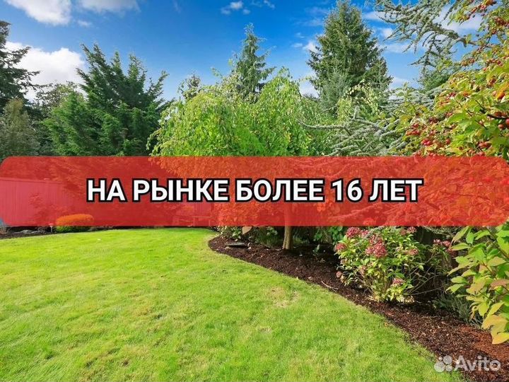 Рулонный газон эконом