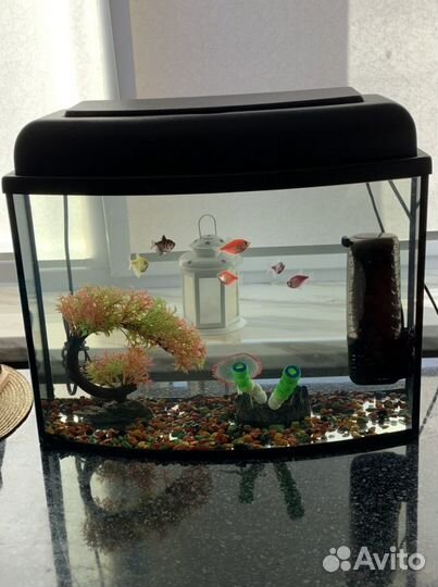 Аквариум
