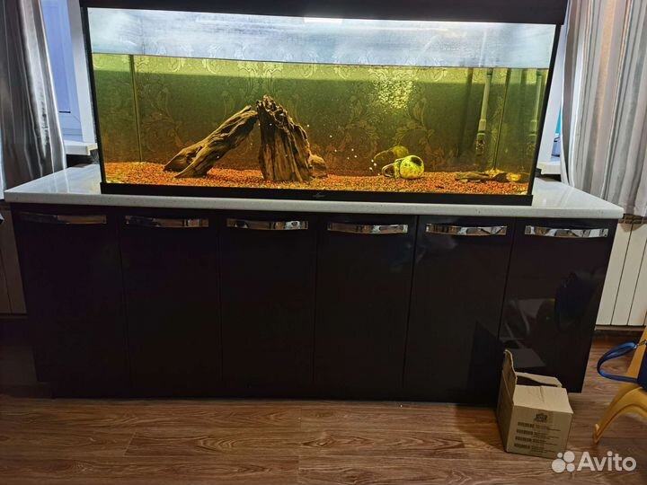Аквариум