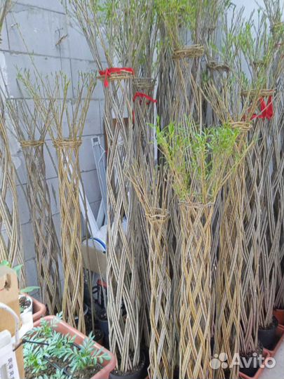 Дерево из ивы