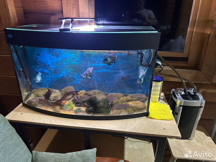 Комплект Аквариум с рыбками