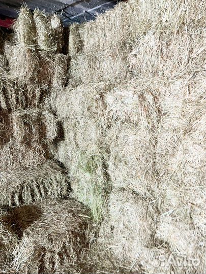 Сено луговое разнотравье в кипах, рязанское