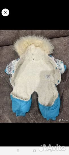 Одежда для собак мелких пород