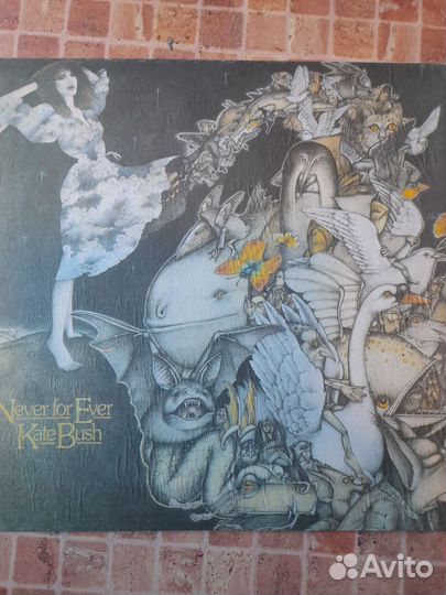 Kate bush never for ever
