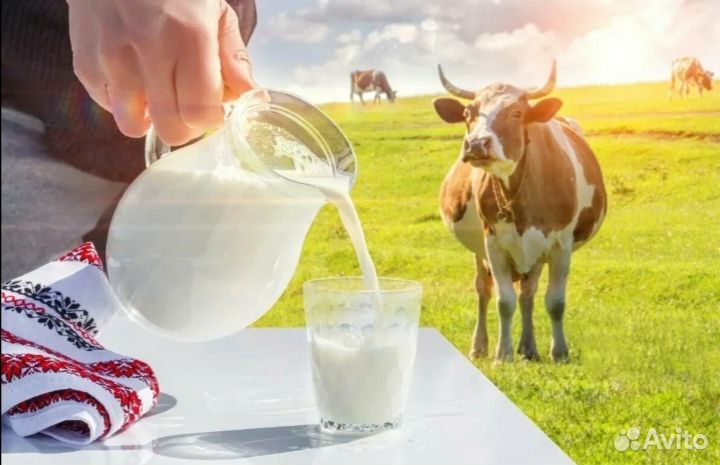 Молоко сырое коровье