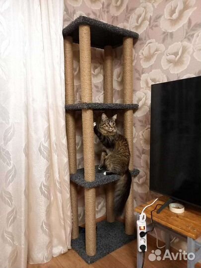 Когтеточка, домик кошке, котенка, лежанка