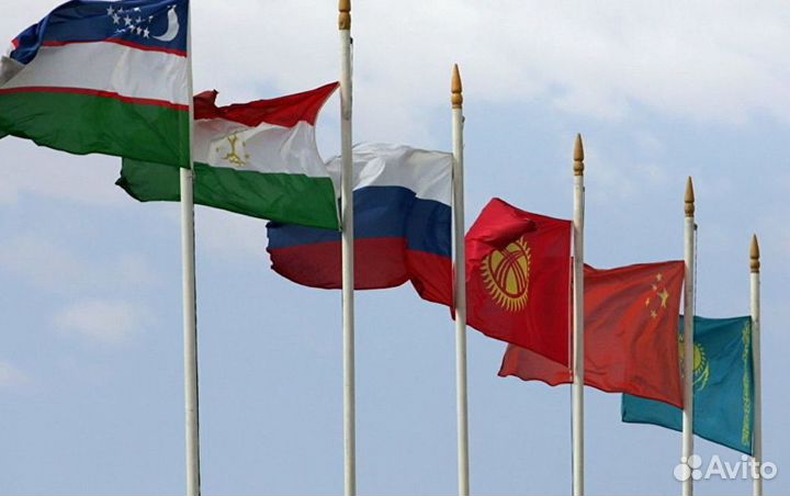 Миграционный адвокат юрист