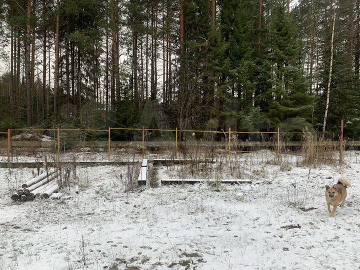 Участок 4,5 сот. (СНТ, ДНП)