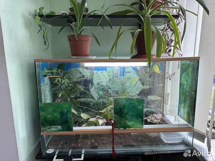 Террариум для рептилий бу