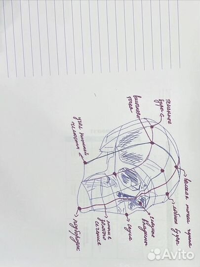 Обучение на парикмахера