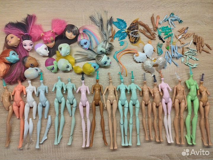 Руки, головы, тела, хвосты для Монстер хай эах