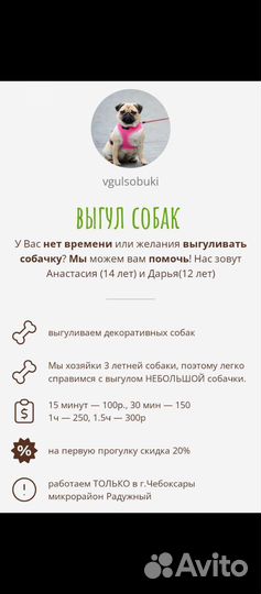 Выгульщик собак