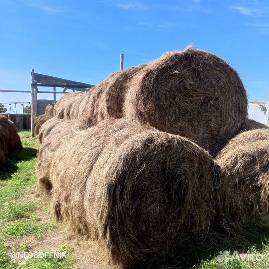 Продам сено в тюках разнотравье