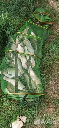 Технопланктон