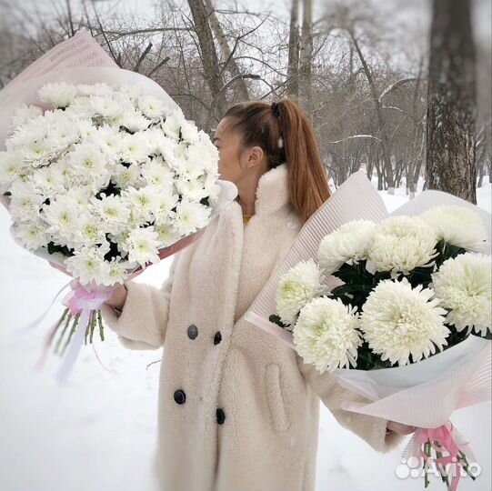 Хризантема