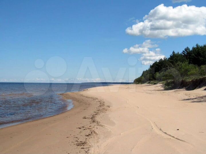 Участок 8,1 сот. (СНТ, ДНП)