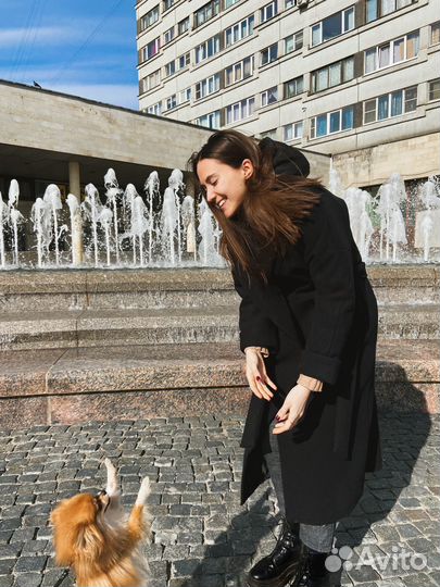 Догситтер передержка выгул собак