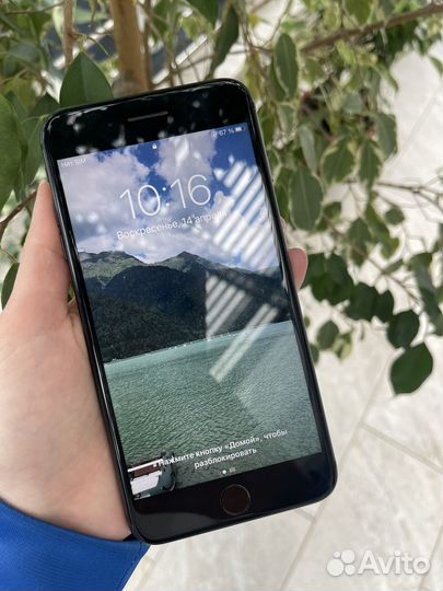 iPhone 8 Plus, 64 ГБ