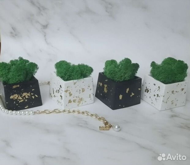 Набор Кашпо для суккулентов, кактусов