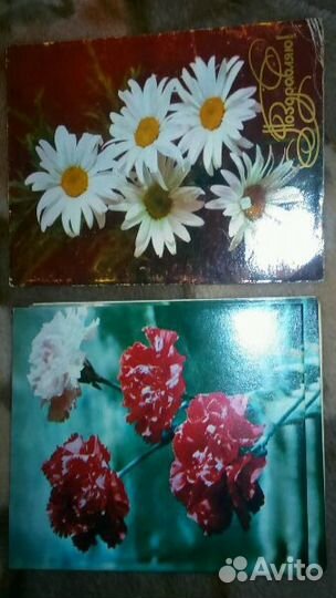 Открытки СССР