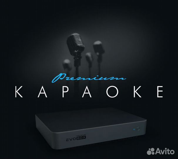 Топовое караоке Evobox Premium