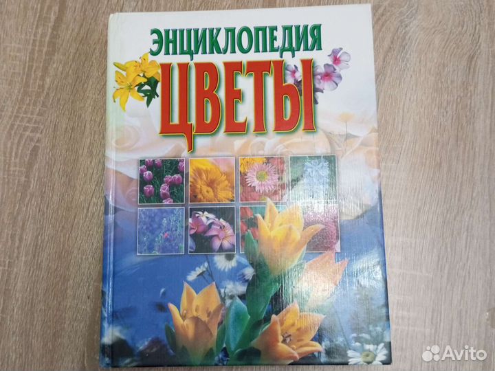 Энциклопедия Цветы