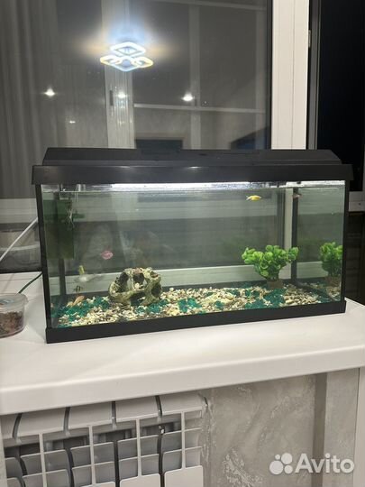Аквариум