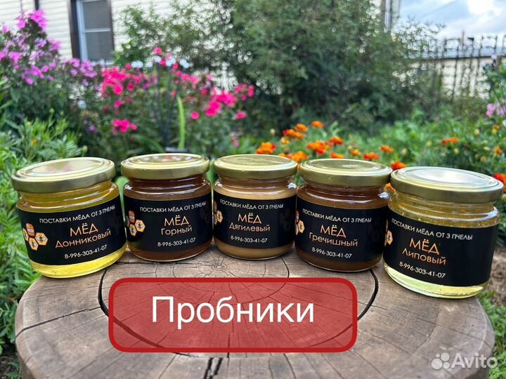 Гречишный мёд оптом из Алтая. Доставка из Барнаула